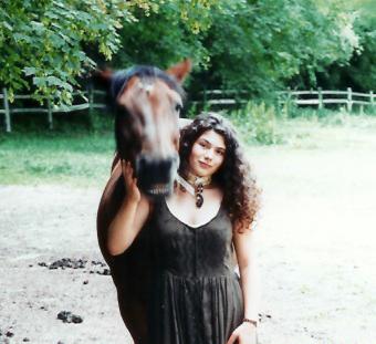horse